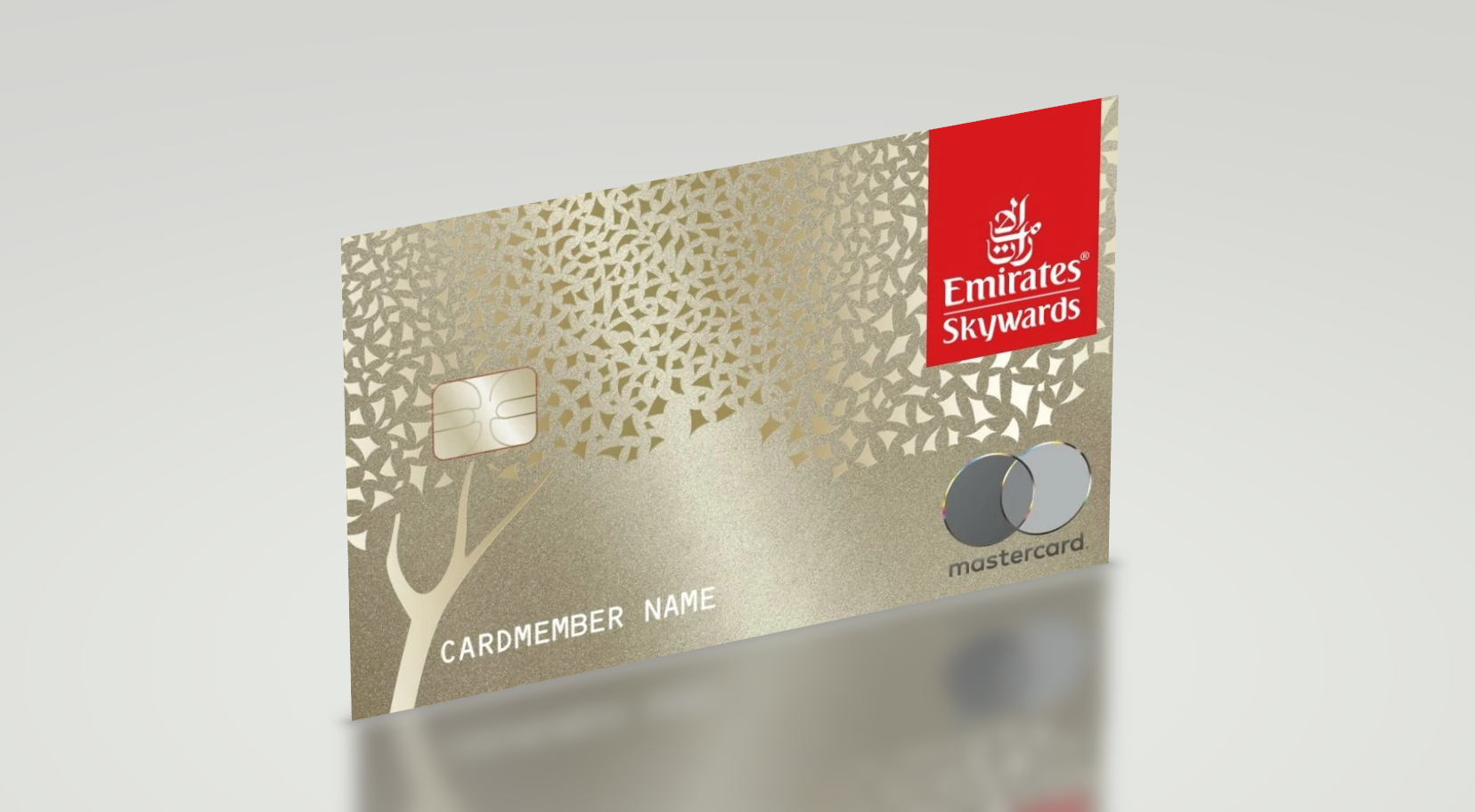 Apply for the Emirates Skywards Premium World Elite Mastercard Credit Card